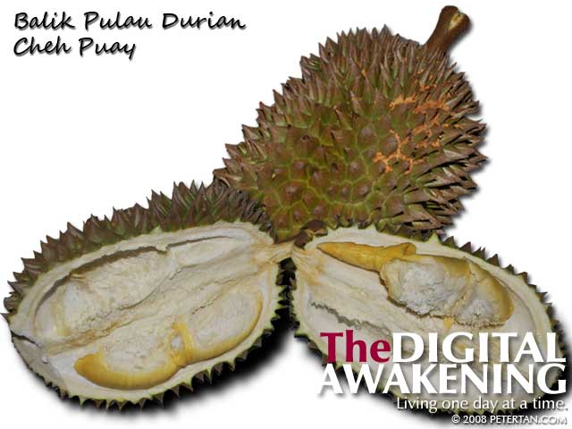 Cheh Puay Balik Pulau durian